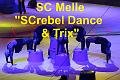 A__G020 SC Melle SCrebel Dance Trix